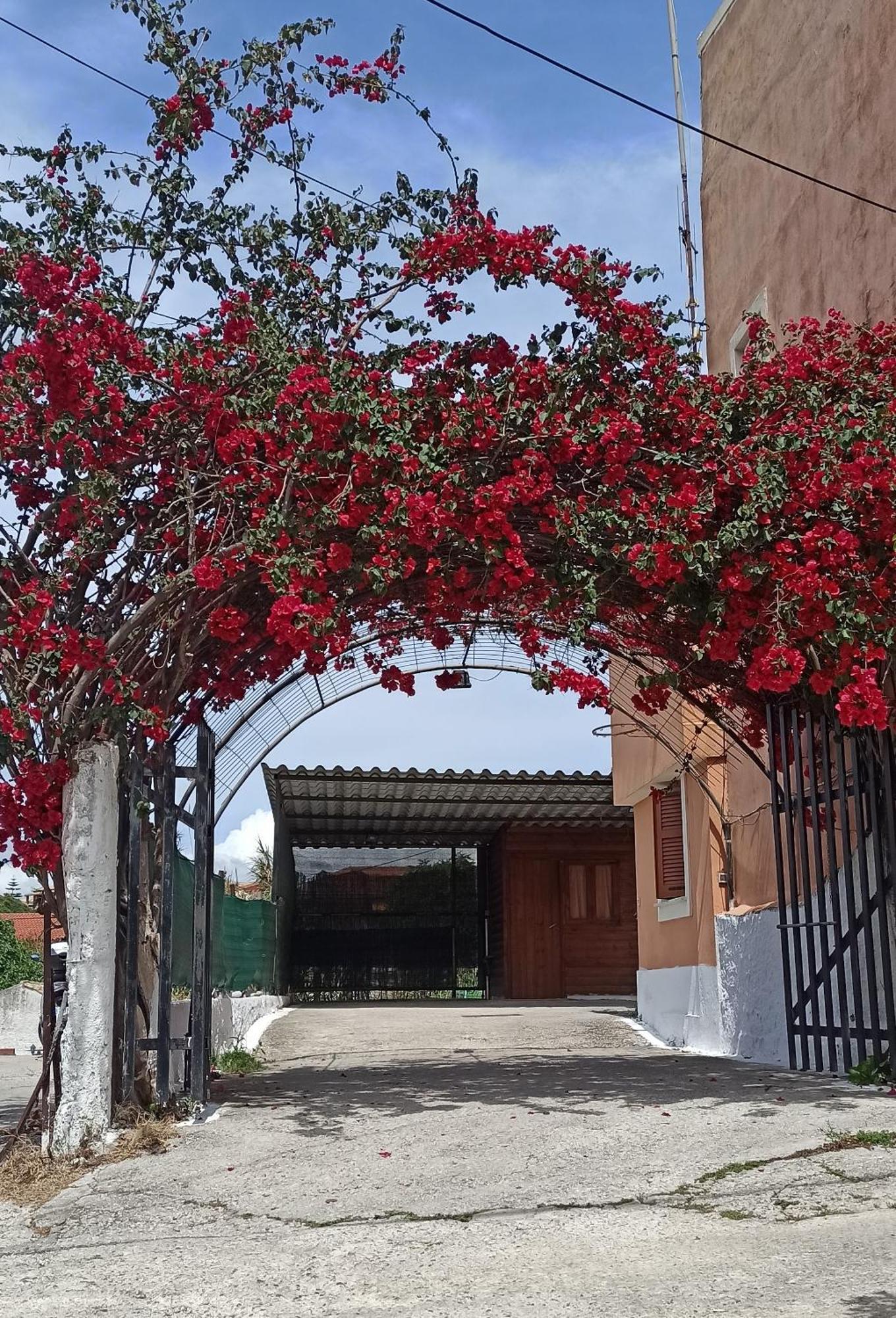 شقة Christina'S House Alepou المظهر الخارجي الصورة